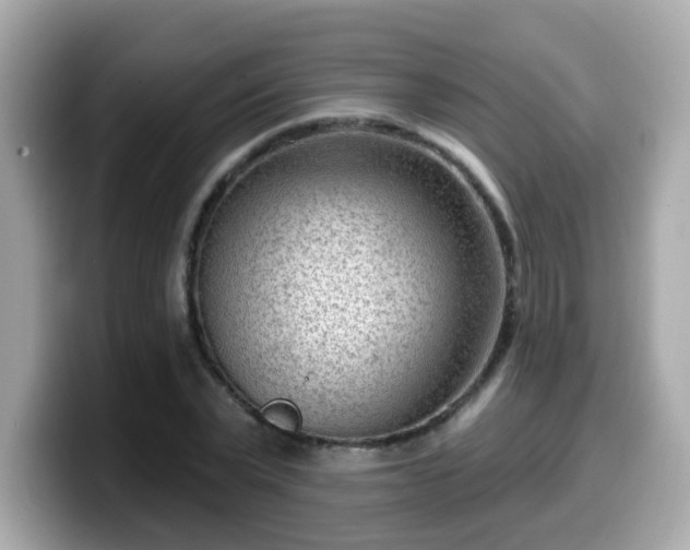 X0000099560783200805231511