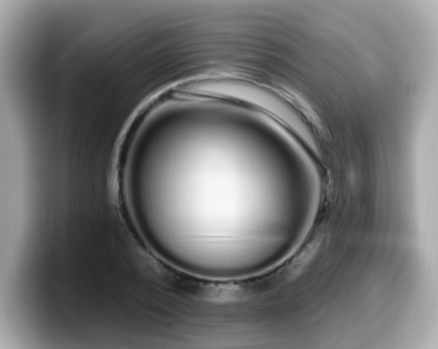 X0000099560784200805231511