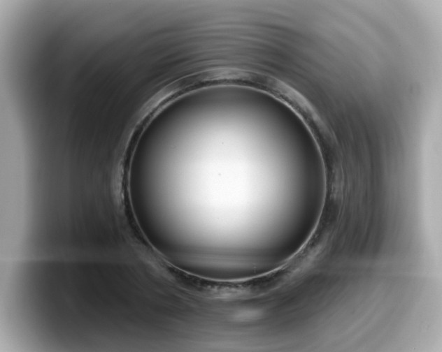 X0000099560786200805231511