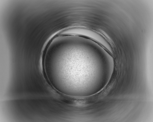 X0000099560788200805231511