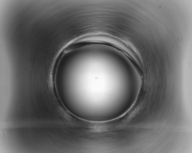 X0000099560789200805231511