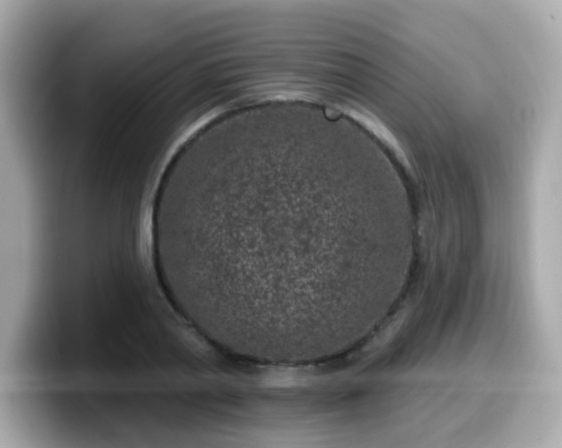 X0000099560790200805231511