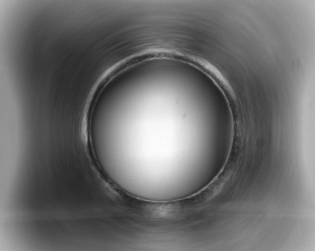 X0000099560791200805231511