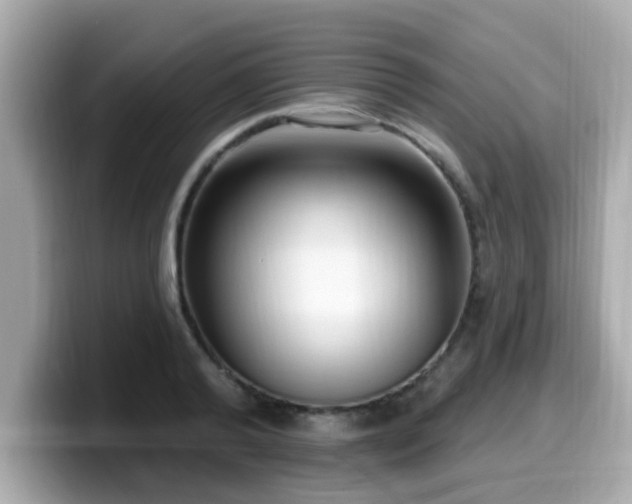 X0000099560792200805231511