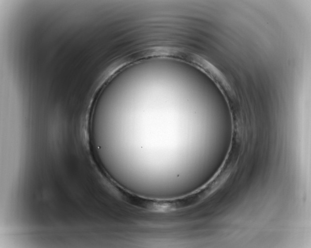 X0000099560794200805231511