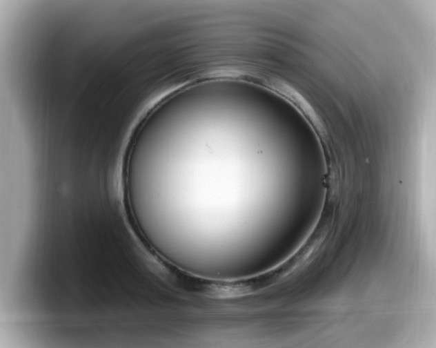 X0000099560795200805231511