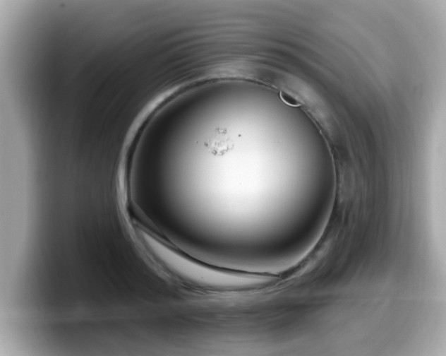 X0000099560796200805231511