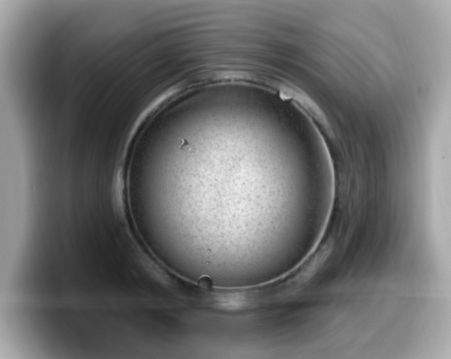 X0000099560798200805231511