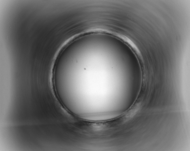 X0000099560799200805231511