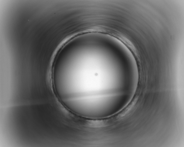 X0000099560800200805231511