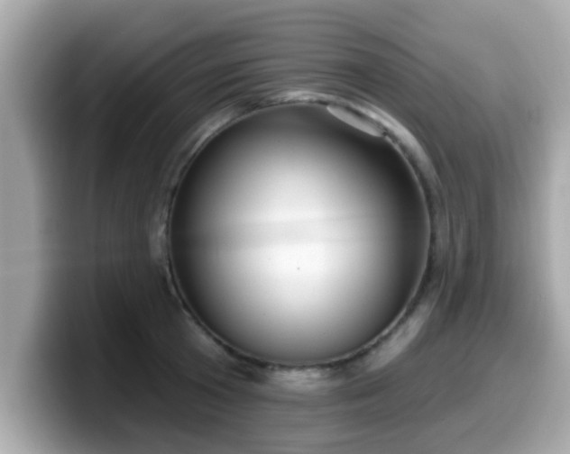 X0000099560801200805231511