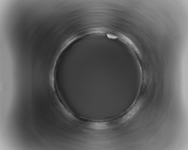 X0000099560802200805231511