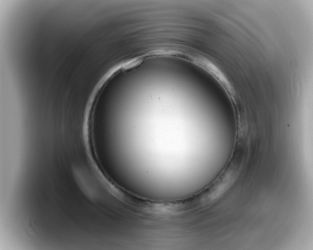 X0000099560803200805231511