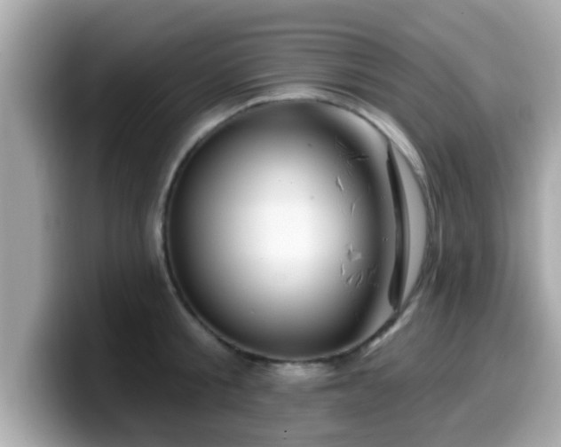 X0000099560805200805231511