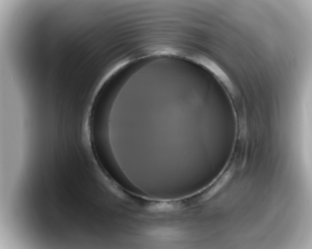 X0000099560806200805231511