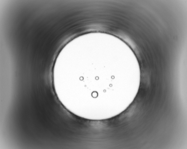 X0000099560807200805231511