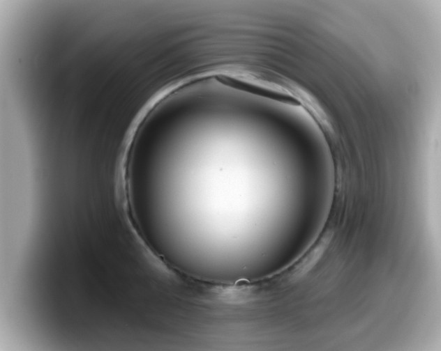 X0000099560808200805231511