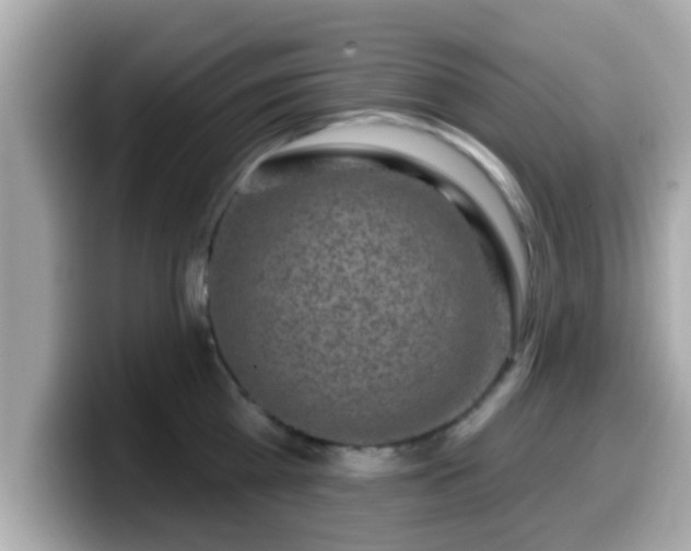 X0000099560809200805231511