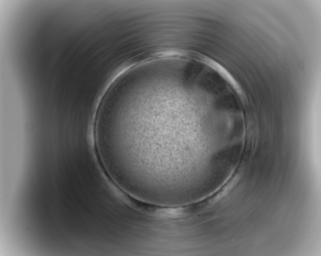 X0000099560810200805231511