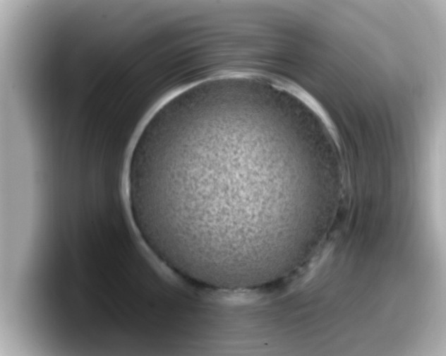 X0000099560811200805231511