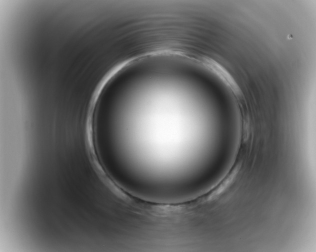 X0000099560812200805231511