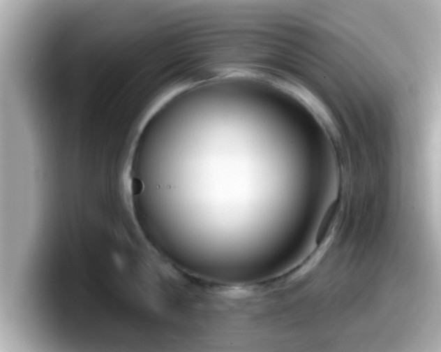 X0000099560814200805231511