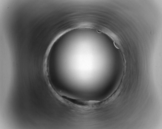 X0000099560816200805231511