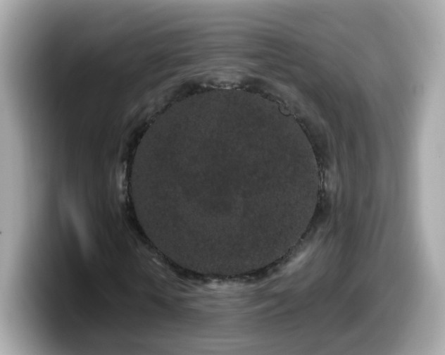 X0000099560818200805231510