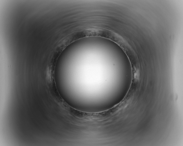 X0000099560819200805231510