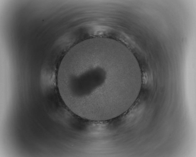 X0000099560820200805231510