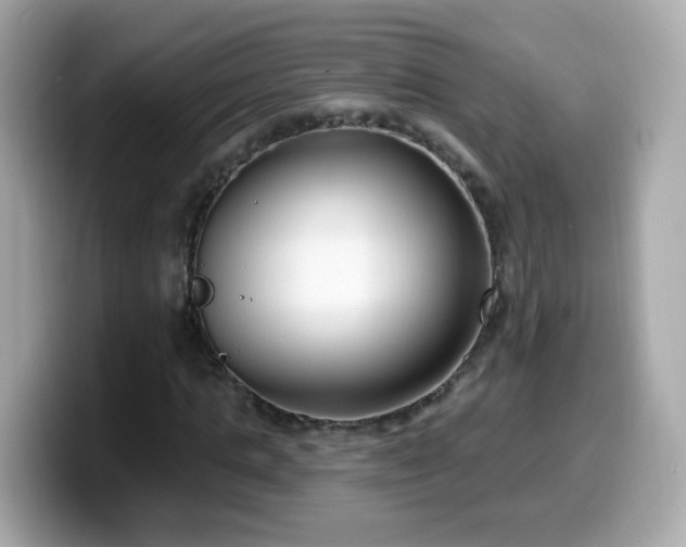 X0000099560821200805231510