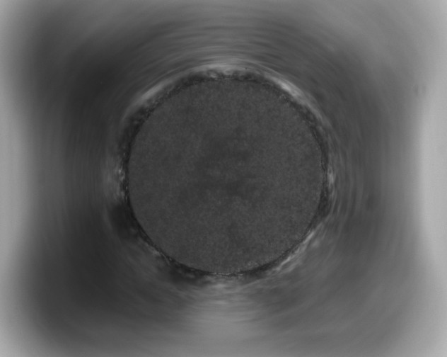 X0000099560822200805231510