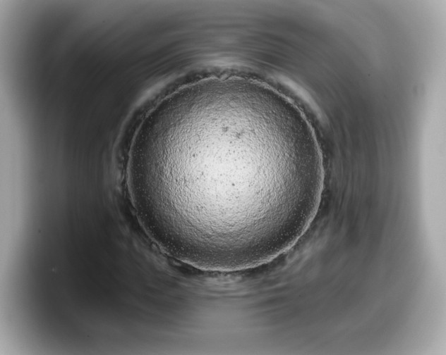 X0000099560823200805231510