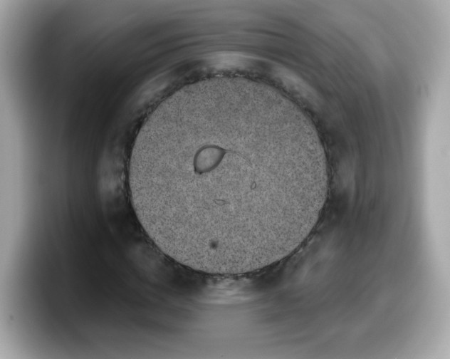 X0000099560824200805231510