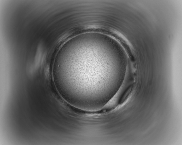 X0000099560825200805231510