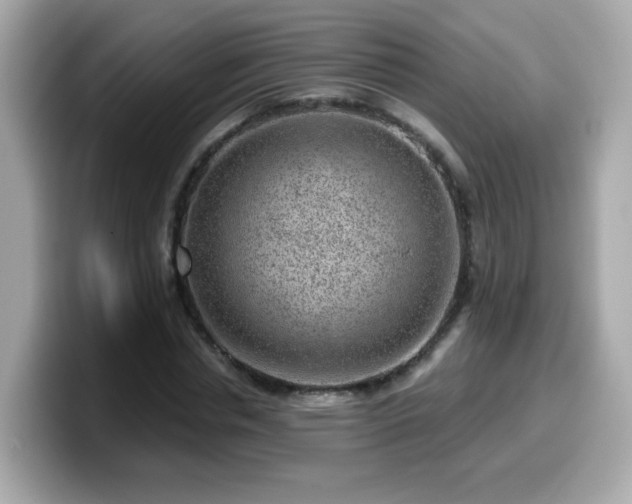 X0000099560826200805231510