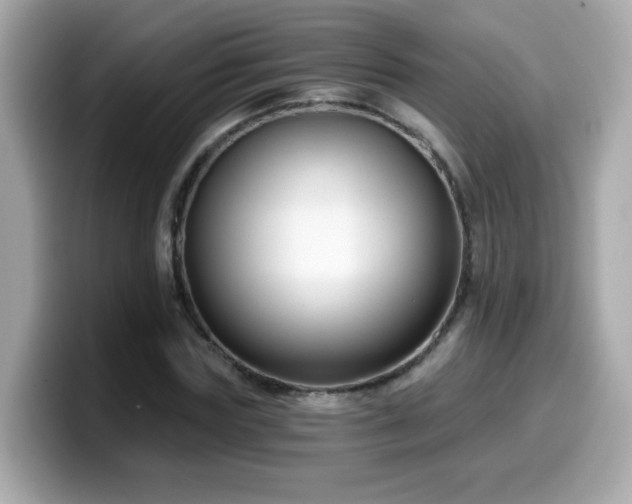 X0000099560827200805231510