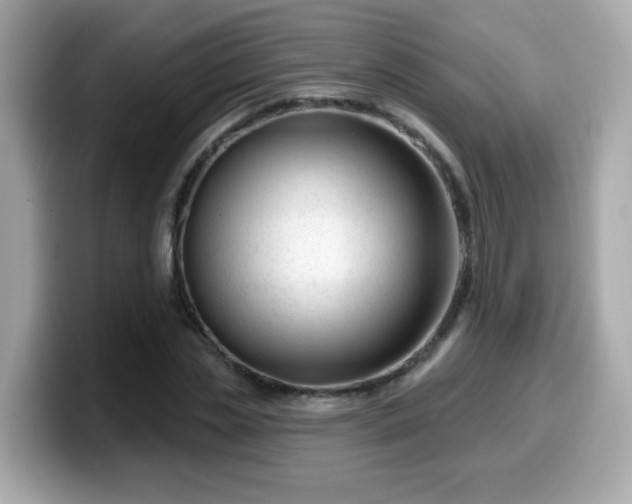 X0000099560829200805231510