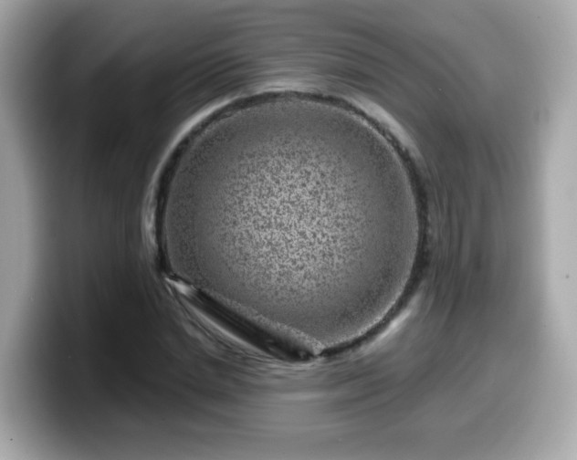 X0000099560830200805231510