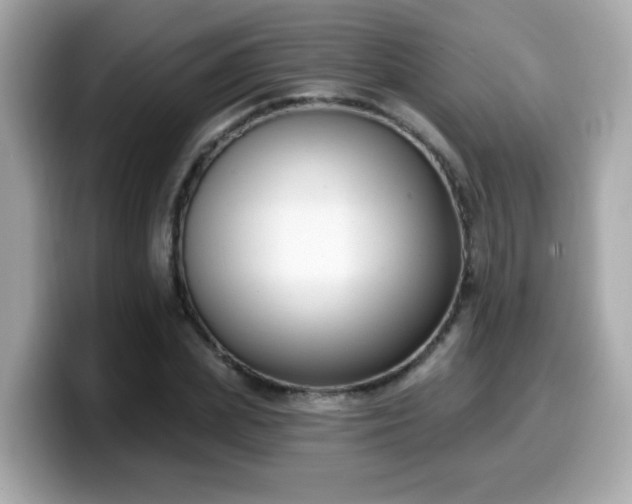 X0000099560831200805231510