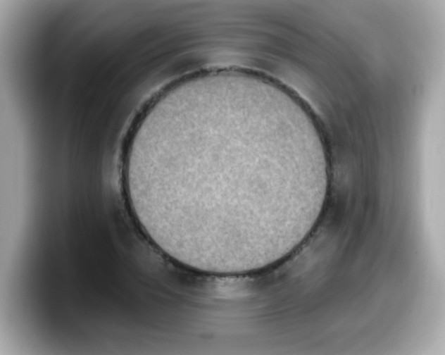 X0000099560832200805231510