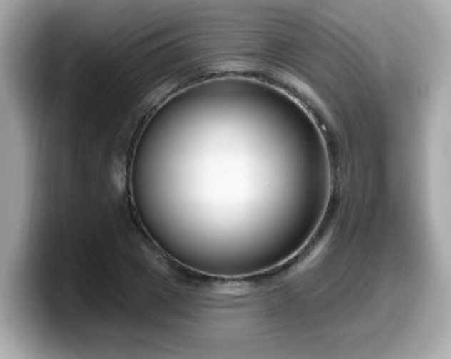 X0000099560833200805231510