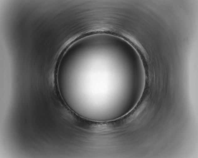 X0000099560834200805231511