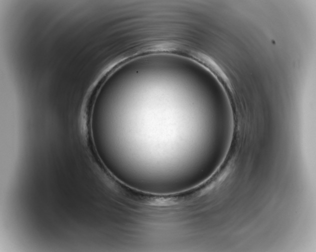 X0000099560835200805231511