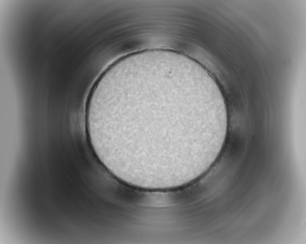 X0000099560836200805231511