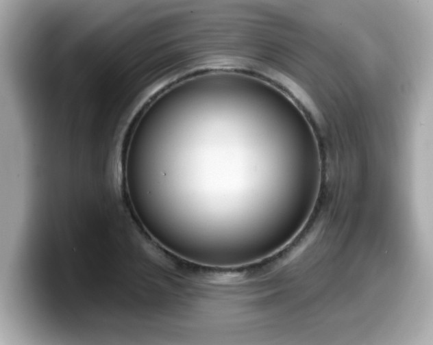 X0000099560837200805231511