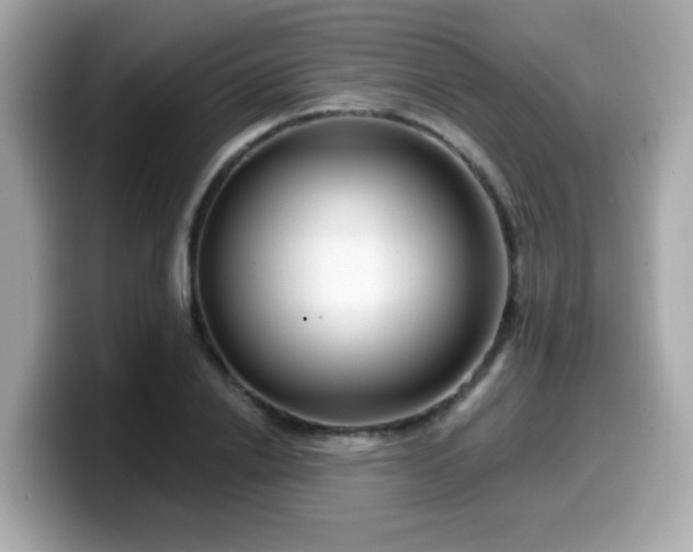 X0000099560838200805231511