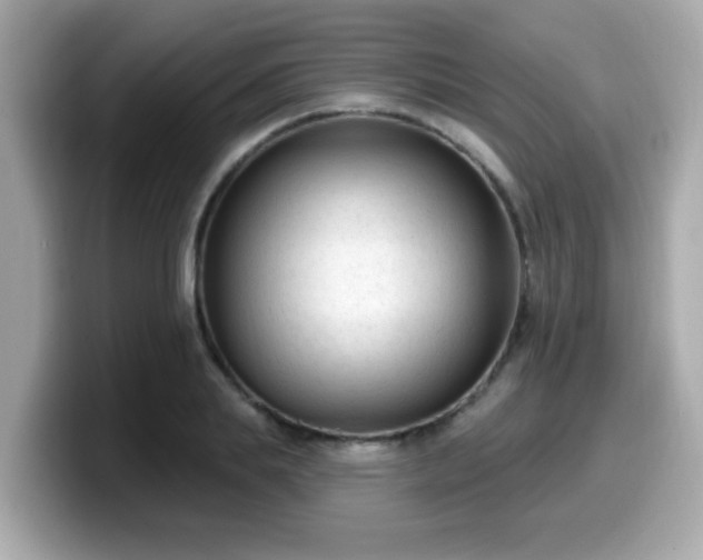 X0000099560839200805231511