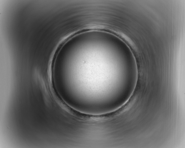 X0000099560840200805231511