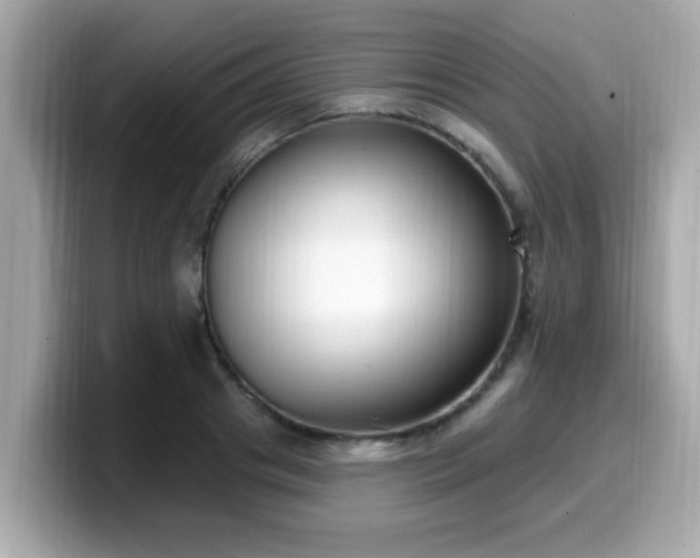 X0000099560841200805231511